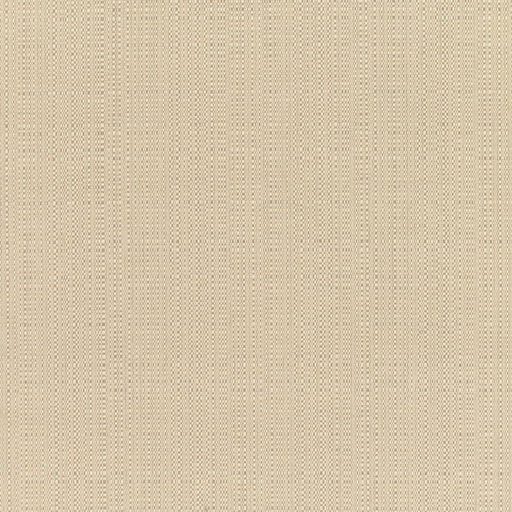 SUNBRELLA UPHOLSTERY  LINEN CHAMPAGNE